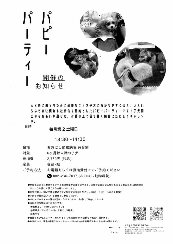 施工イメージ 4